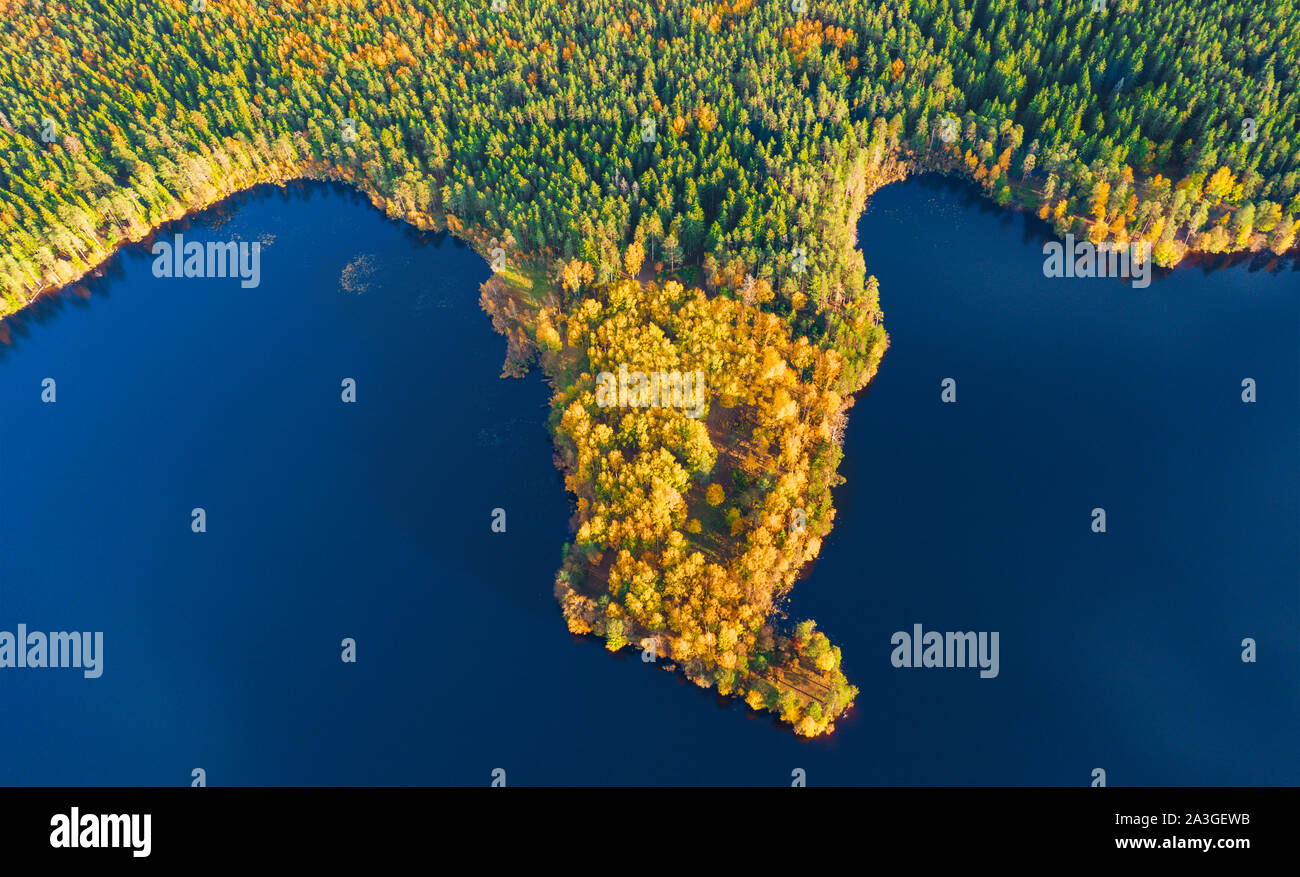 aerial view of autumn forest and lake Stock Photo - Alamy