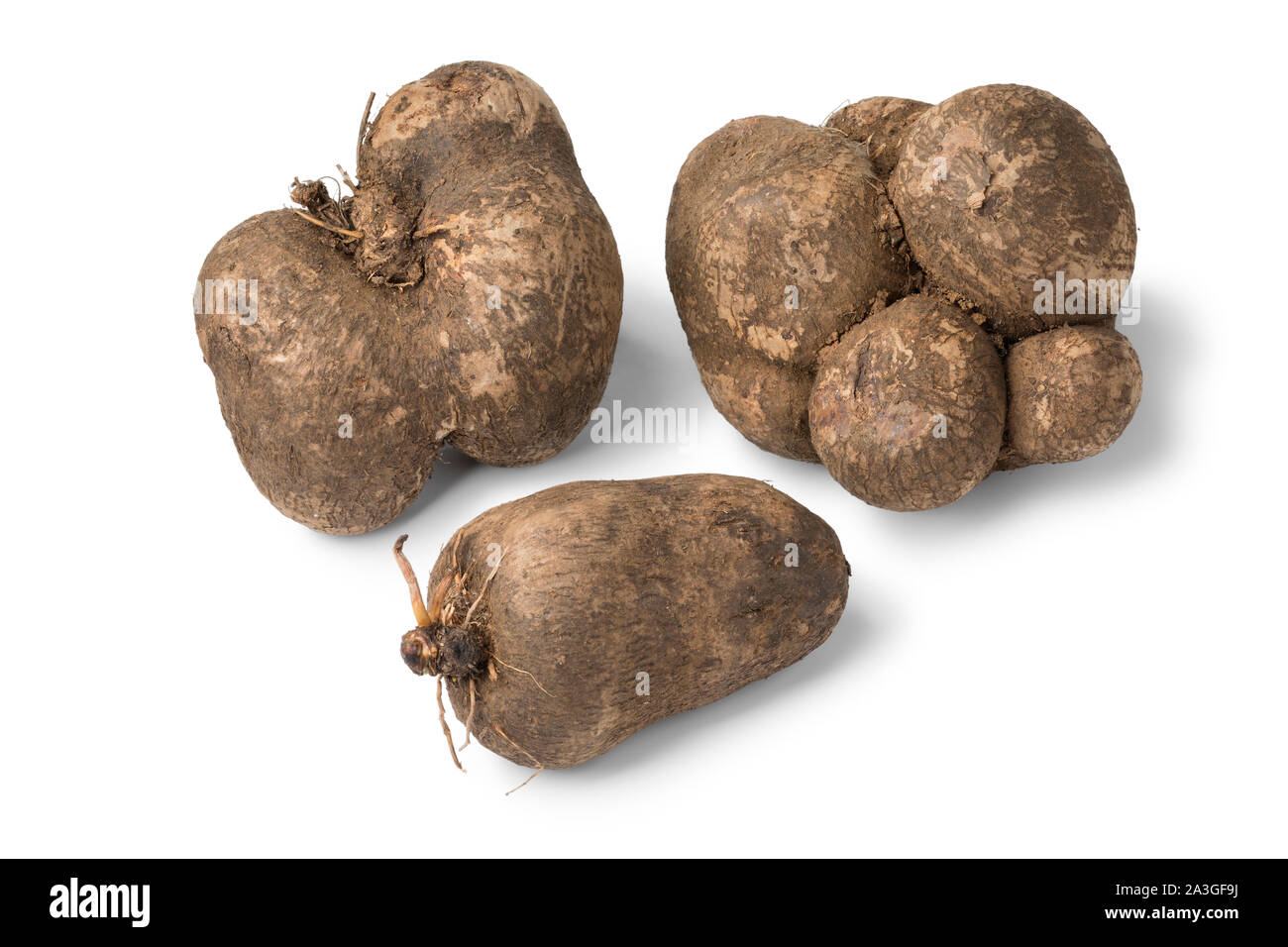 Fresh raw brown organic yams, tropical food isolated on white