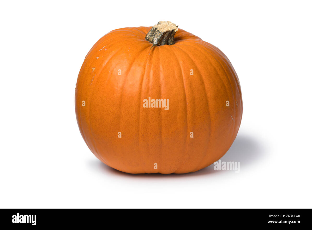 Single whole orange pumpkin isolated on white background Stock Photo
