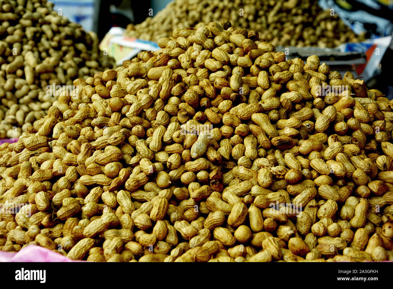 What is a Nuts Goner?