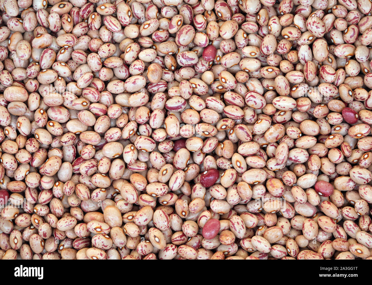 background of many dried beans Stock Photo