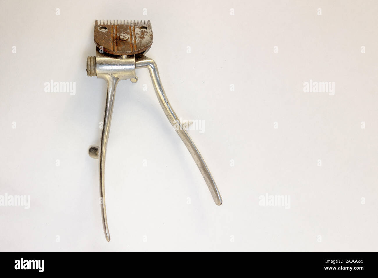 rusty hair clippers