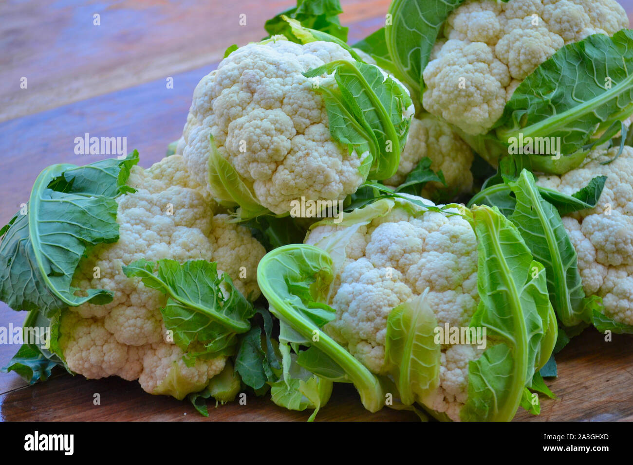 Cauliflower for pickling on a rustic wooden table,  Brassica oleracea  botrytis Stock Photo