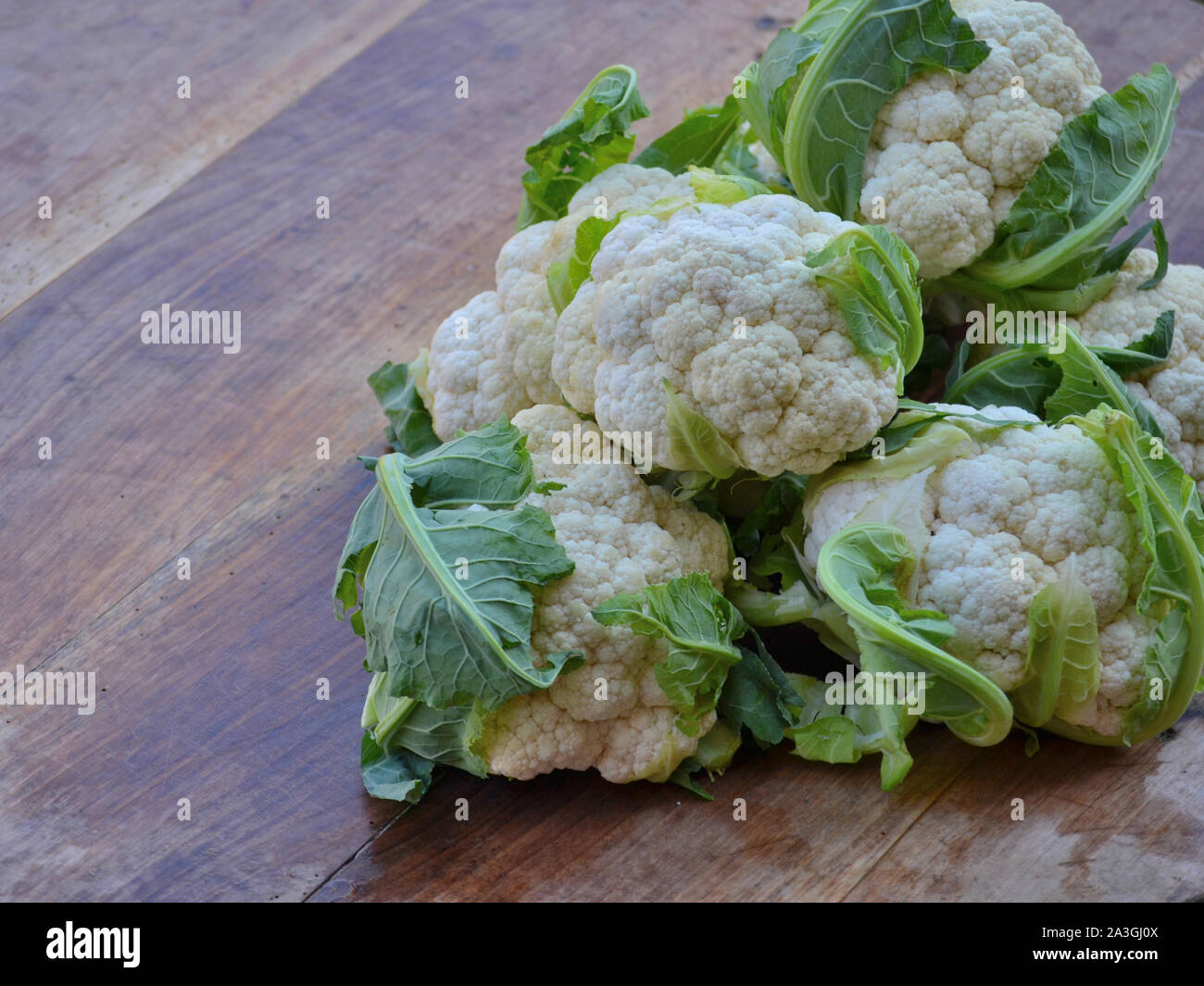 Cauliflower for pickling on a rustic wooden table,  Brassica oleracea . botrytis Stock Photo