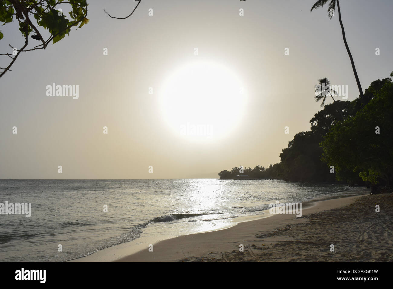 Sunset over the ocean with palms Stock Photo