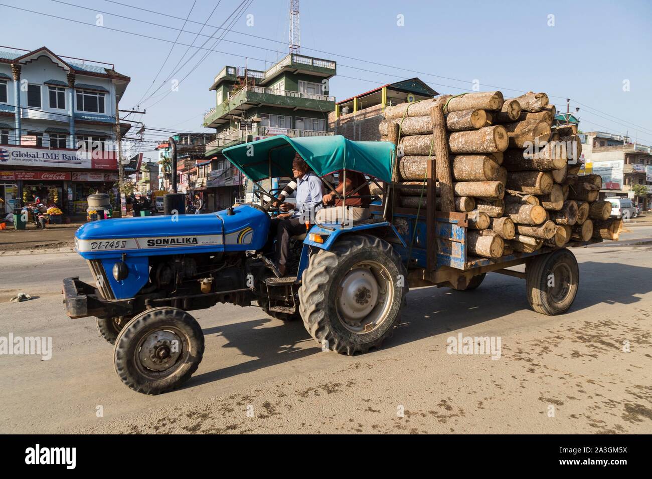 Nepal, Chitwan, Ratnanagar, truck carrying tree trunks Stock Photo