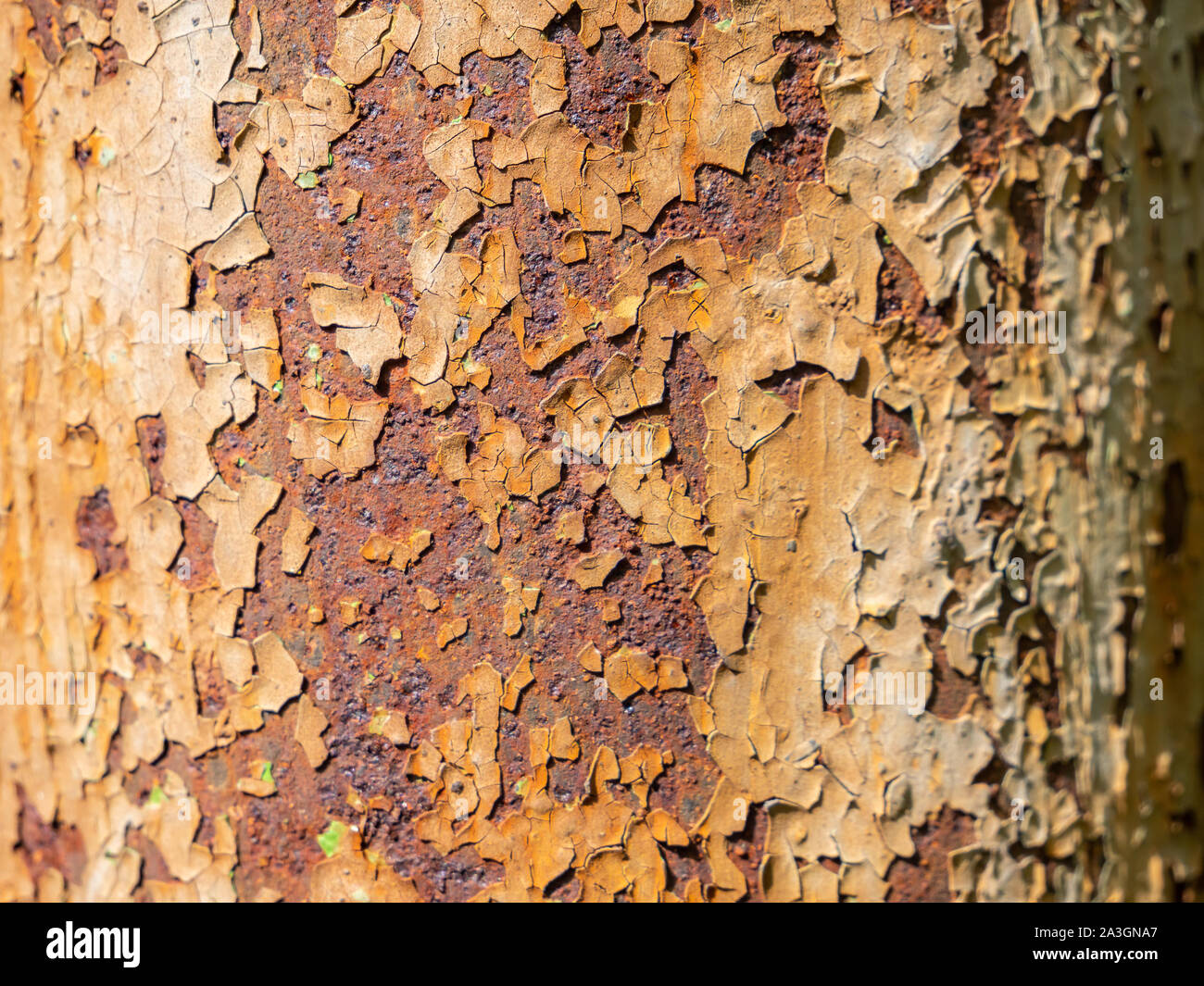 Old grunge rusty background texture Stock Photo