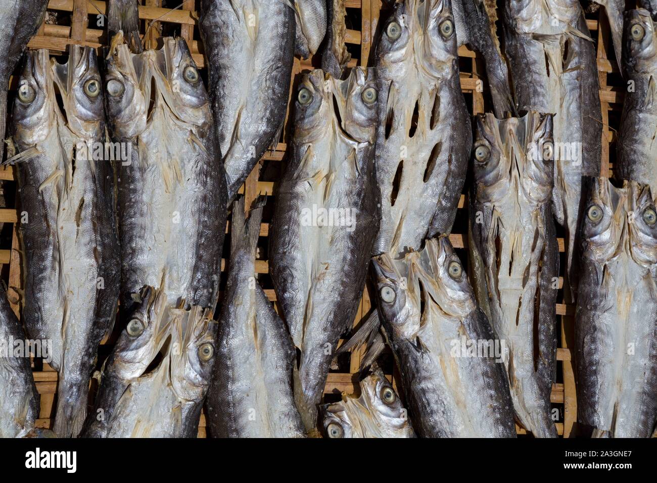 Philippines, Palawan, Malampaya Sound Protected Landscape and Seascape ...
