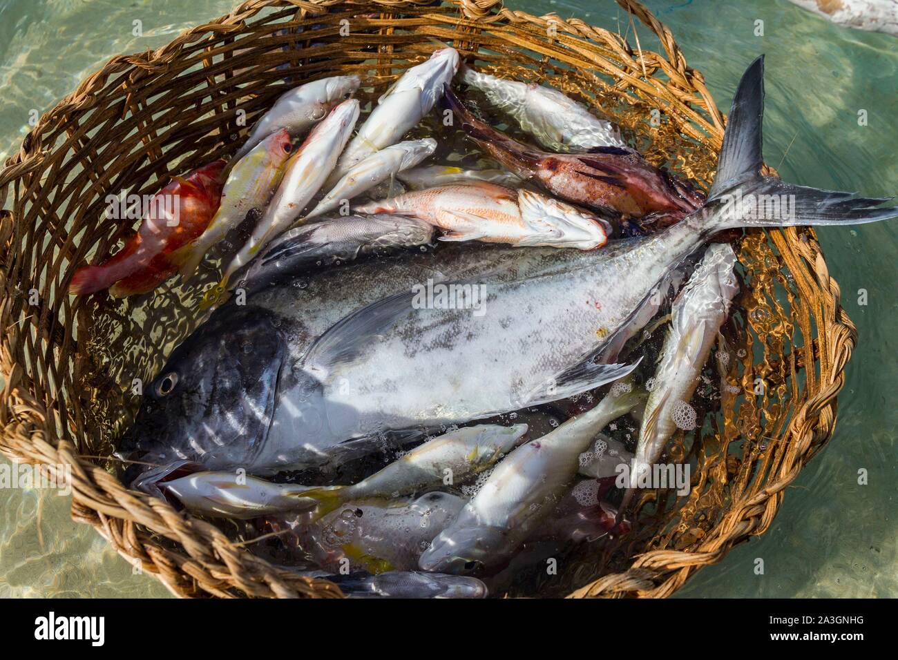 Philippines, Palawan, Roxas, Johnson Island, basket full of fresh ...
