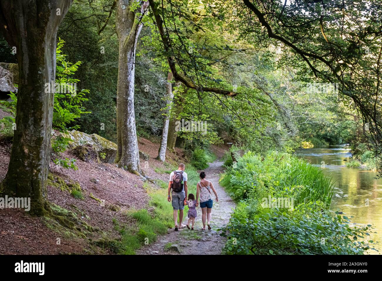 France, Finistere, PontAven, In the footsteps of Paul Gauguin, Bois d