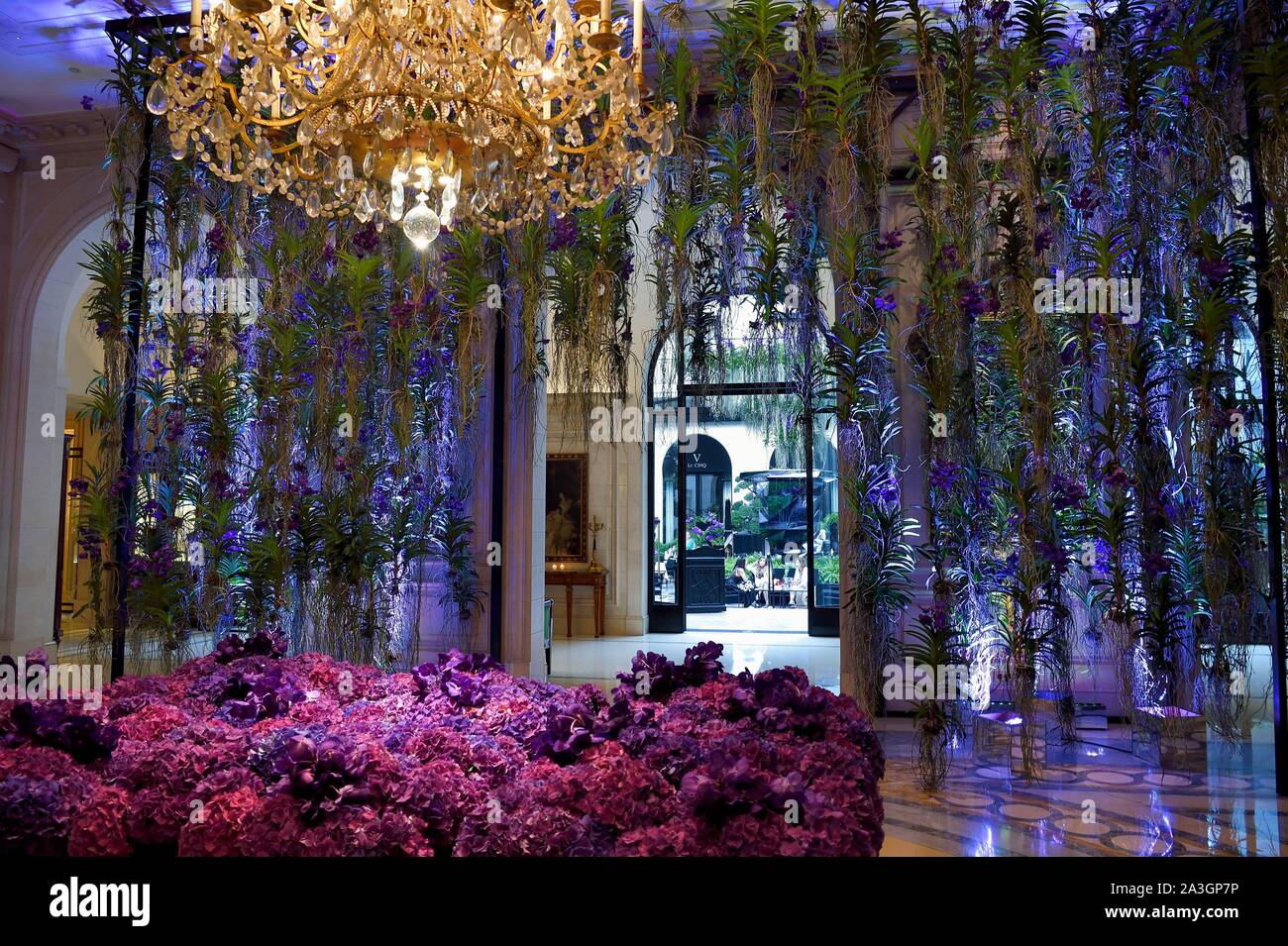 France, Paris, Four Seasons Hotel George V Stock Photo