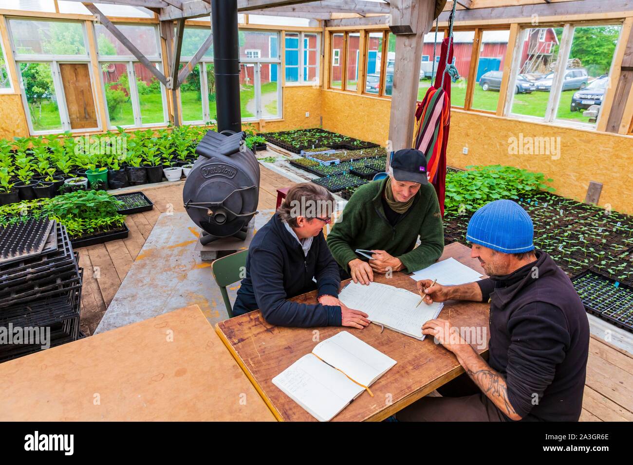 Sweden, County of Vastra Gotaland, Hokerum, Ulricehamn hamlet, Rochat family report, preparation of the plantation planning with Pierre, Kristian and Elisabeth these last two in training Stock Photo