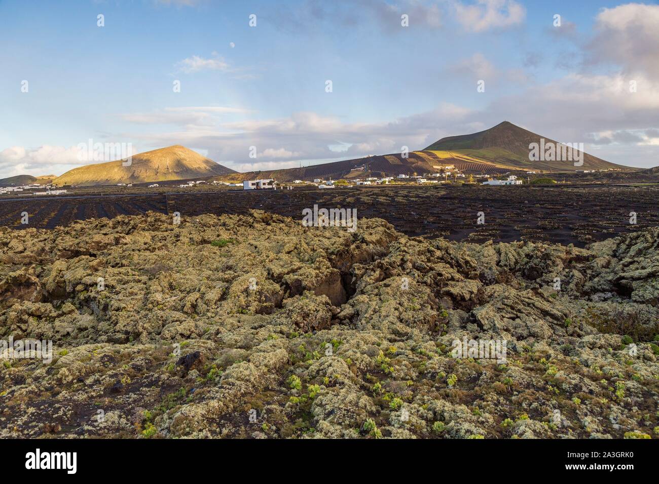 Spain, Canary Islands, Lanzarote Island, La G?ria, Biosphere reserve, vineyards near Montana Blanca Stock Photo
