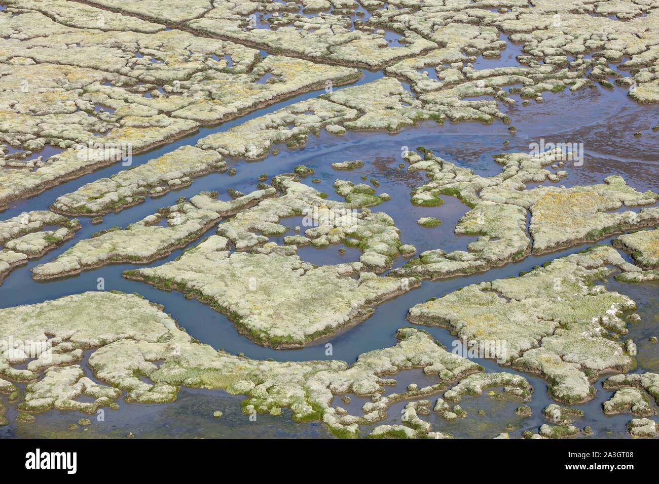 France, Morbihan, Gulf of Morbihan, Sene, Mousterian swamp (aerial view) Stock Photo