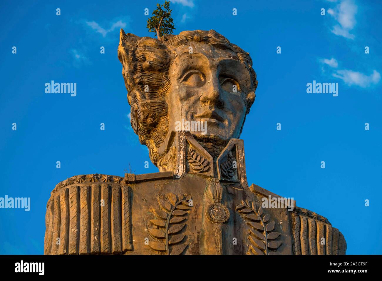 Colombia, Llanos, Vichada, Tambora, Tuparro National Park, giant bust of Simon Bolivar Stock Photo