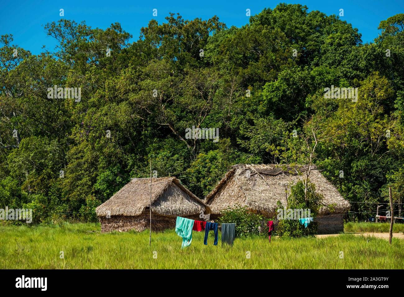 Colombia, Llanos, Vichada,Tuparro National Park, Cano Lapa, Chikuani indian community, huts Stock Photo