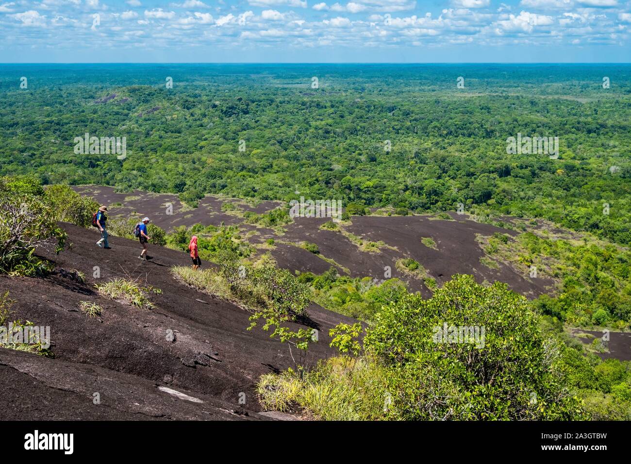 Colombia, Guainia, Inirida, Cerros de Mavicure, descent of the Cerro Diablo Stock Photo