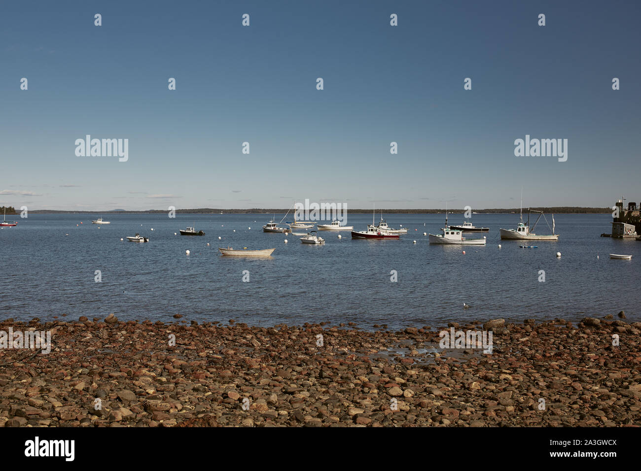 Lobstermen catching lobster off the coast of Penobscot Bay in