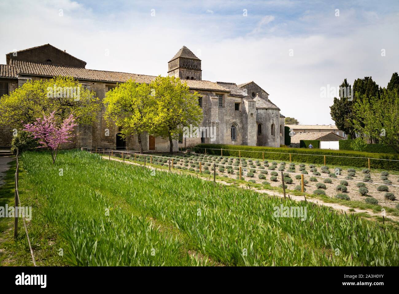 France, Bouche du Rhone, Saint Remy de Provence, Alpilles mountains, St Paul de Mausole hospice Stock Photo