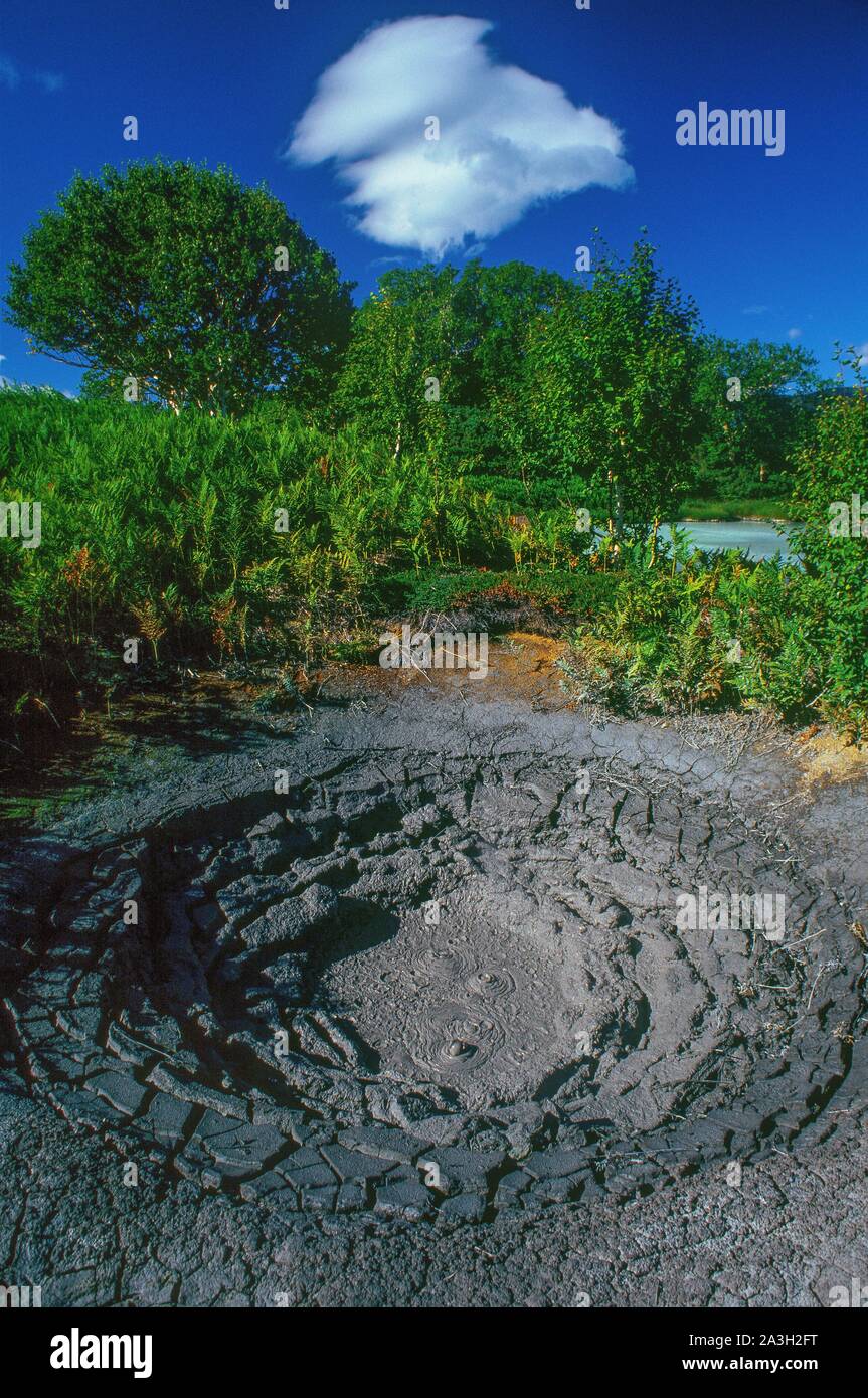 Russia, Kamchatka, Sources of mud in the Uzon caldera, Kamchatka Stock ...