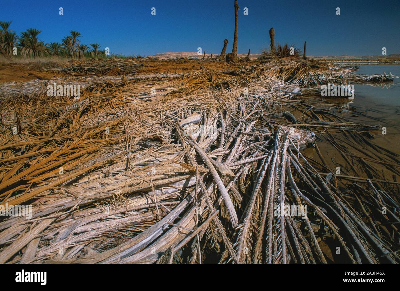 Salt lake siwa oasis egypt hires stock photography and images Alamy