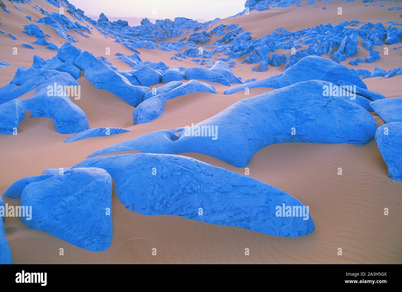 Hammomda rus lezbiyenlari Filippinlar bilan jinsiy sayohat