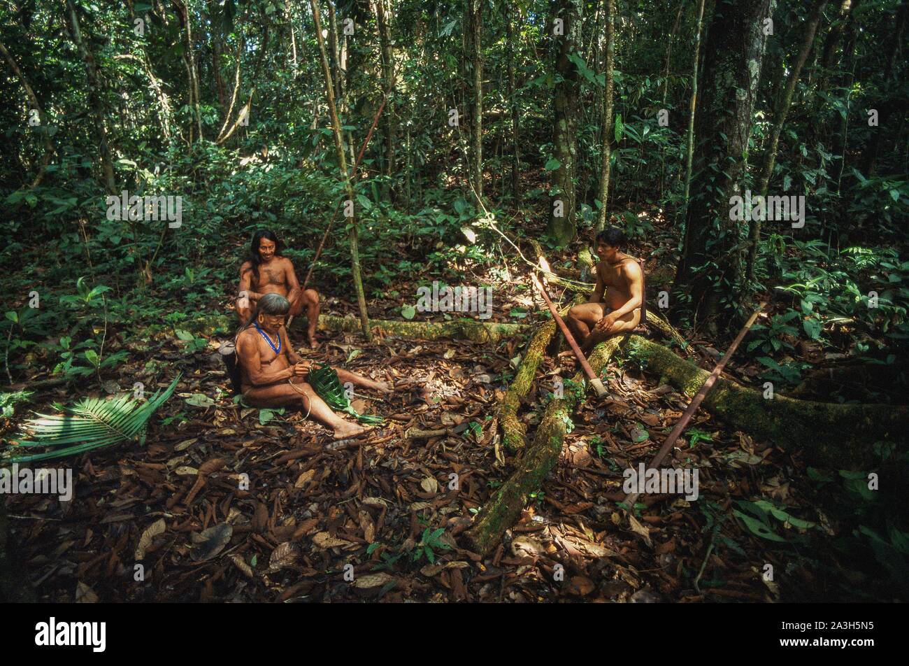 Ecuador, Orellana, Rio Cononaco, Construction of a hut and baskets, the Huaorani are one of the last two tribes of hunter-gatherers who live in the heart of the rainforest of Ecuador Stock Photo