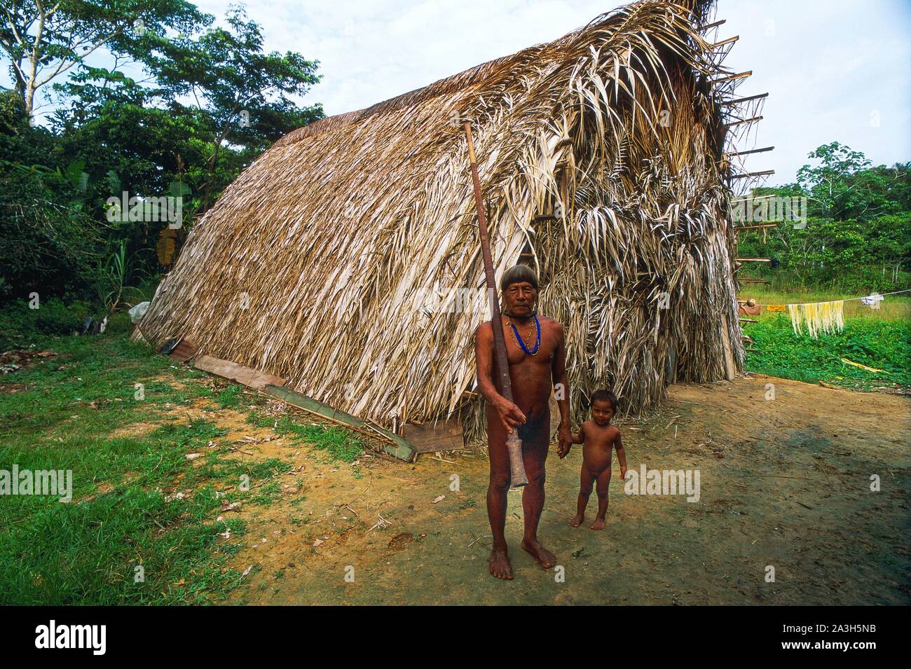 Ecuador, Orellana, Rio Cononaco, Traditional hut, the Huaorani are one of the last two tribes of hunter-gatherers who live in the heart of the rainforest of Ecuador Stock Photo