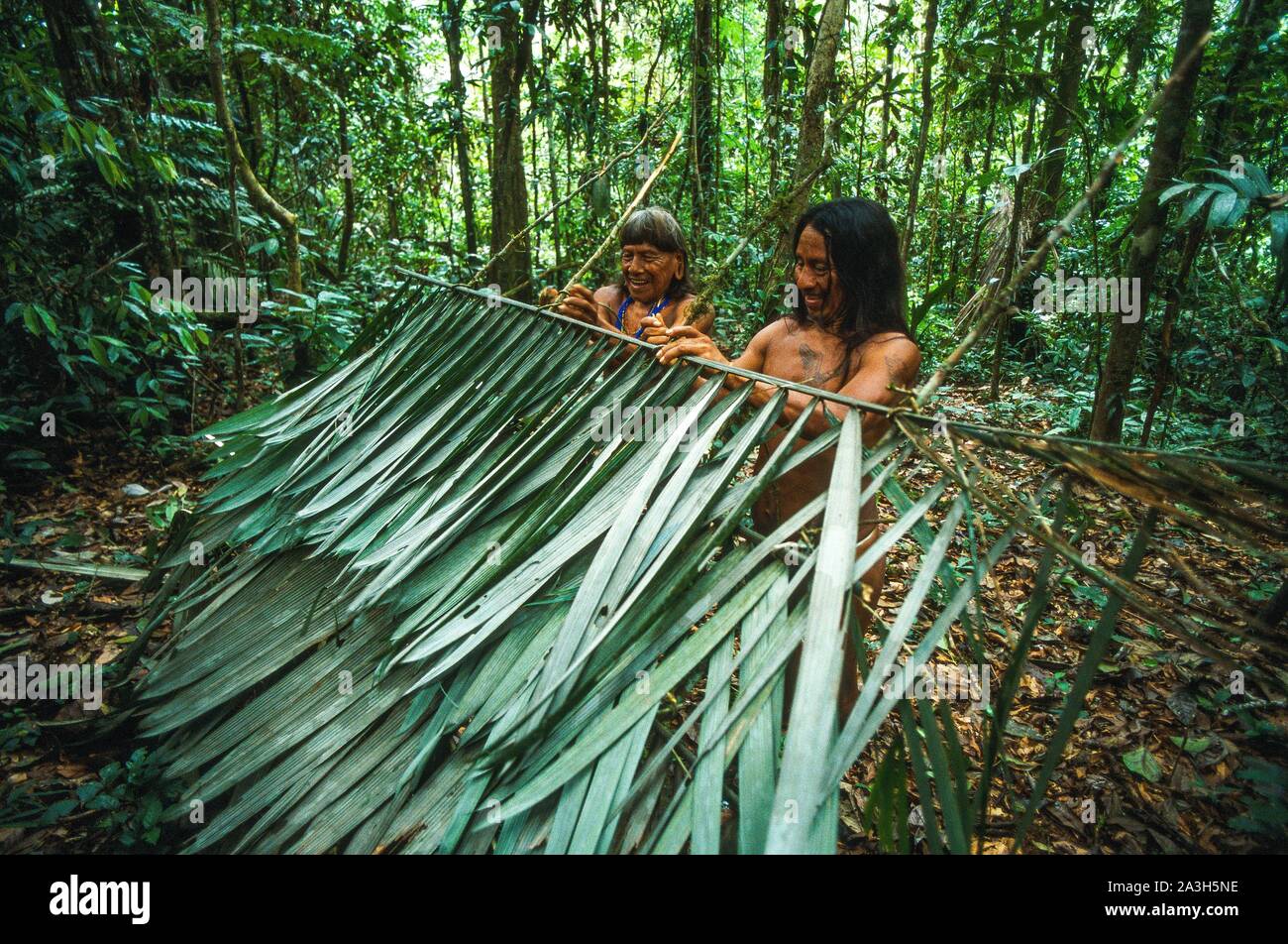 Ecuador, Orellana, Rio Cononaco, Construction of a hut and baskets, the Huaorani are one of the last two tribes of hunter-gatherers who live in the heart of the rainforest of Ecuador Stock Photo