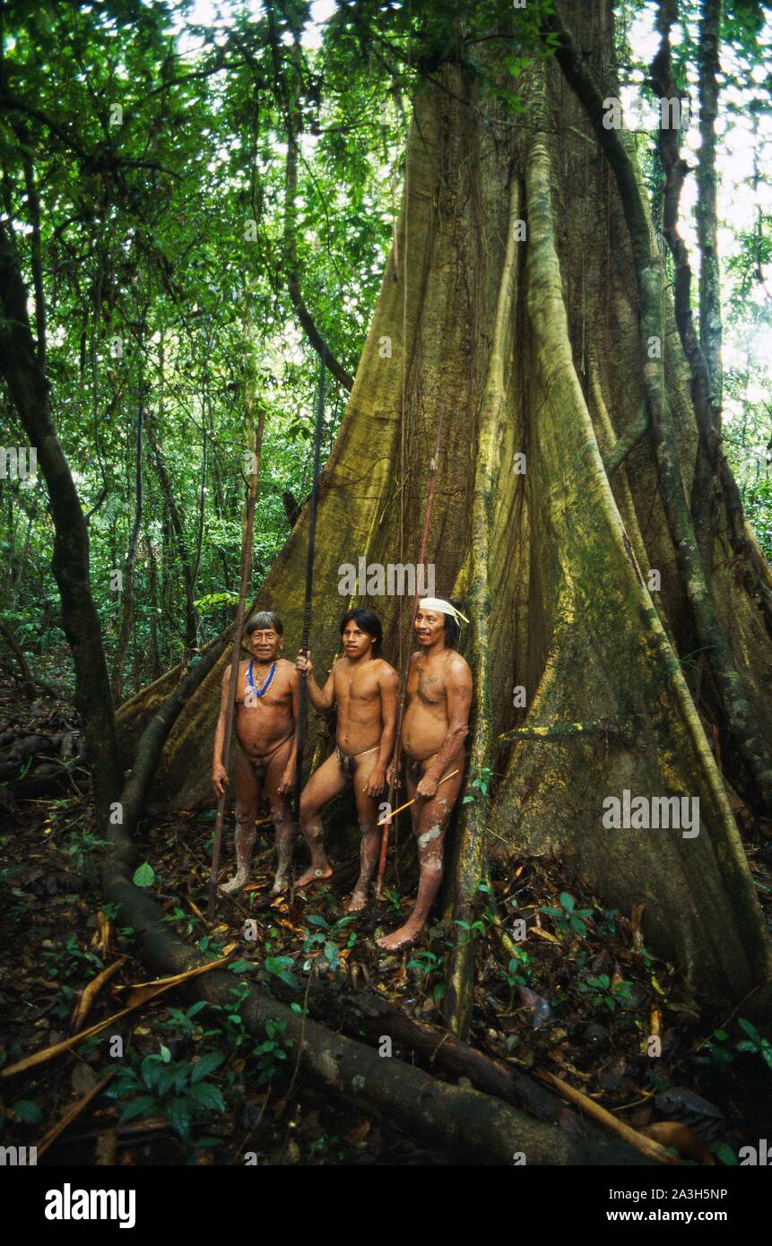 Ecuador, Orellana, Rio Cononaco, Group of hunters at the foot of a cheese maker, the Huaorani are one of the last two tribes of hunter-gatherers who live in the heart of the rainforest of Ecuador Stock Photo