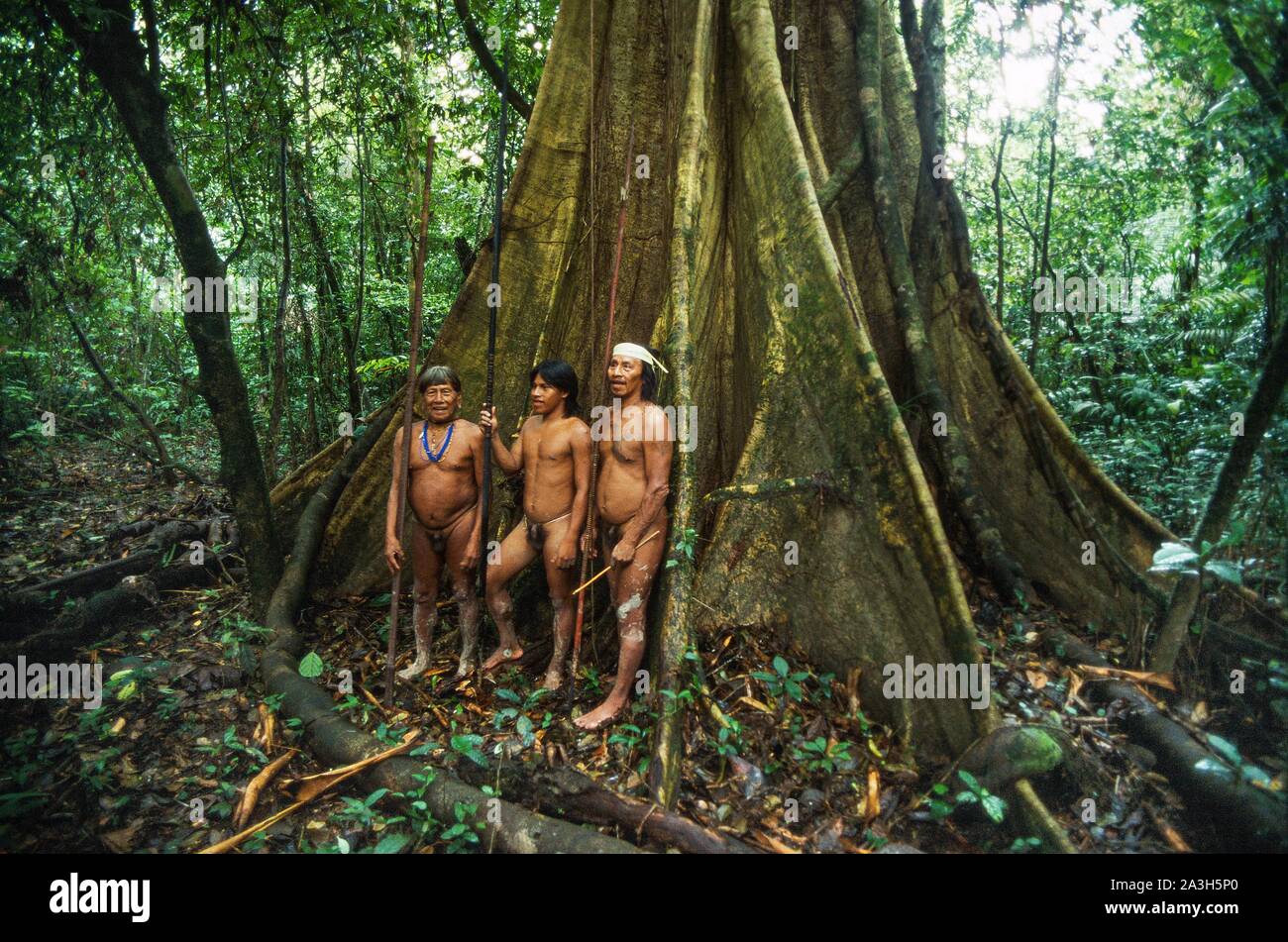 Ecuador, Orellana, Rio Cononaco, Group of hunters at the foot of a cheese maker, the Huaorani are one of the last two tribes of hunter-gatherers who live in the heart of the rainforest of Ecuador Stock Photo