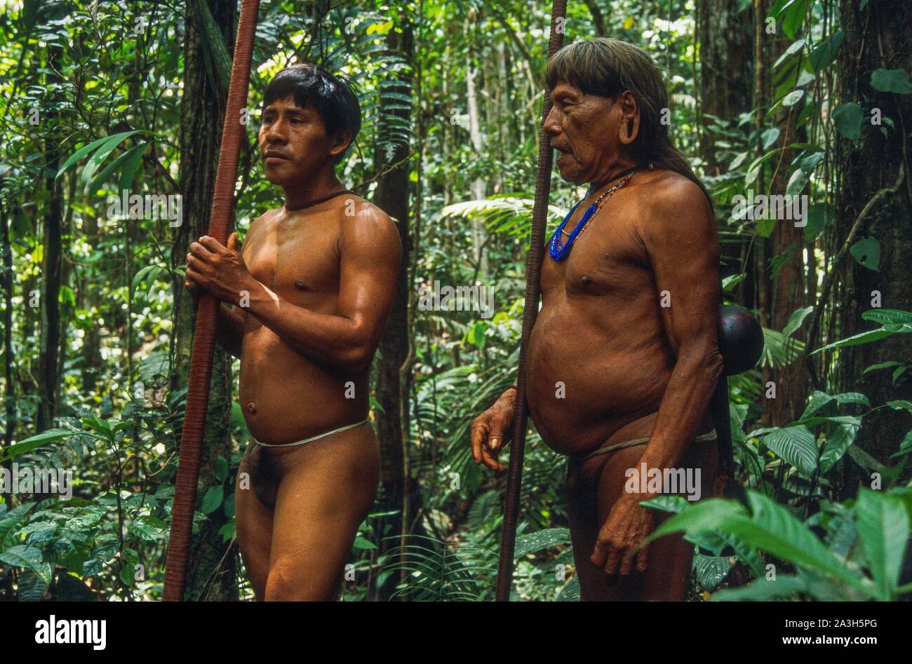 Ecuador, Orellana, Rio Cononaco, blowgun hunting, the Huaorani are one of the last two tribes of hunter-gatherers who live in the heart of the rainforest of Ecuador Stock Photo