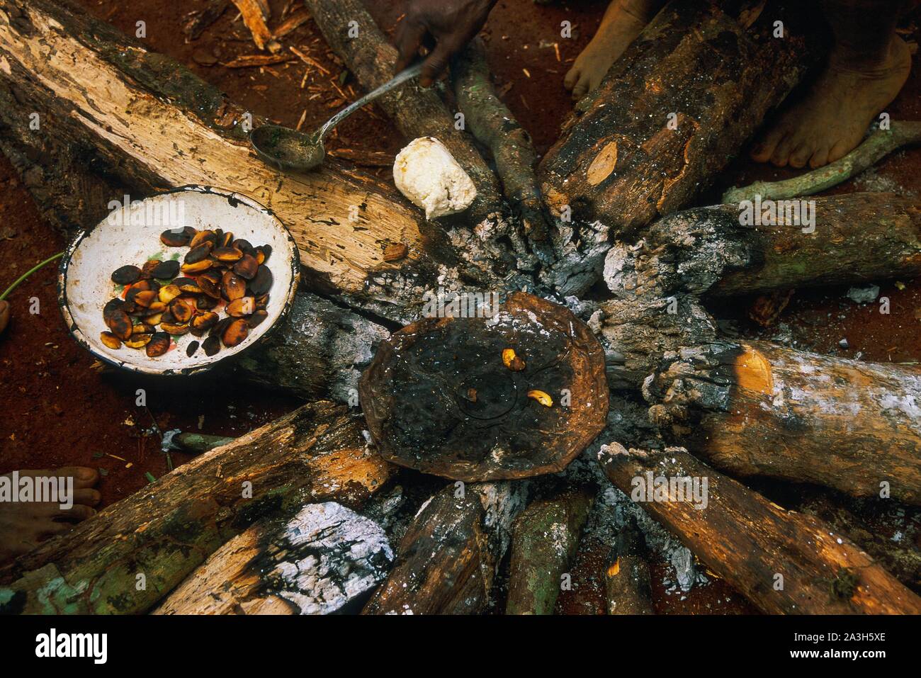 Baka tree hi-res stock photography and images - Alamy