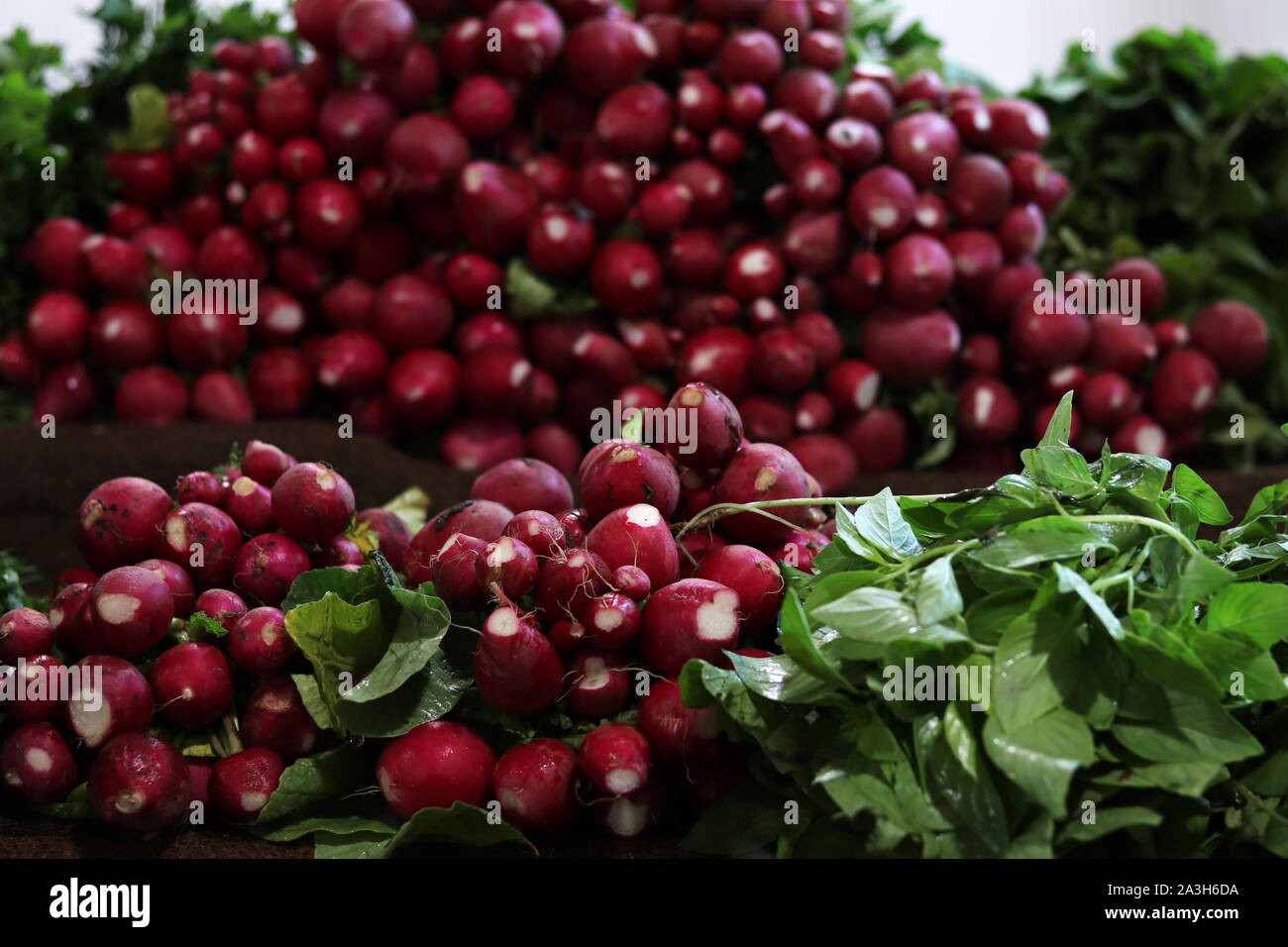 Radishes with green leaves on display in market Stock Photo