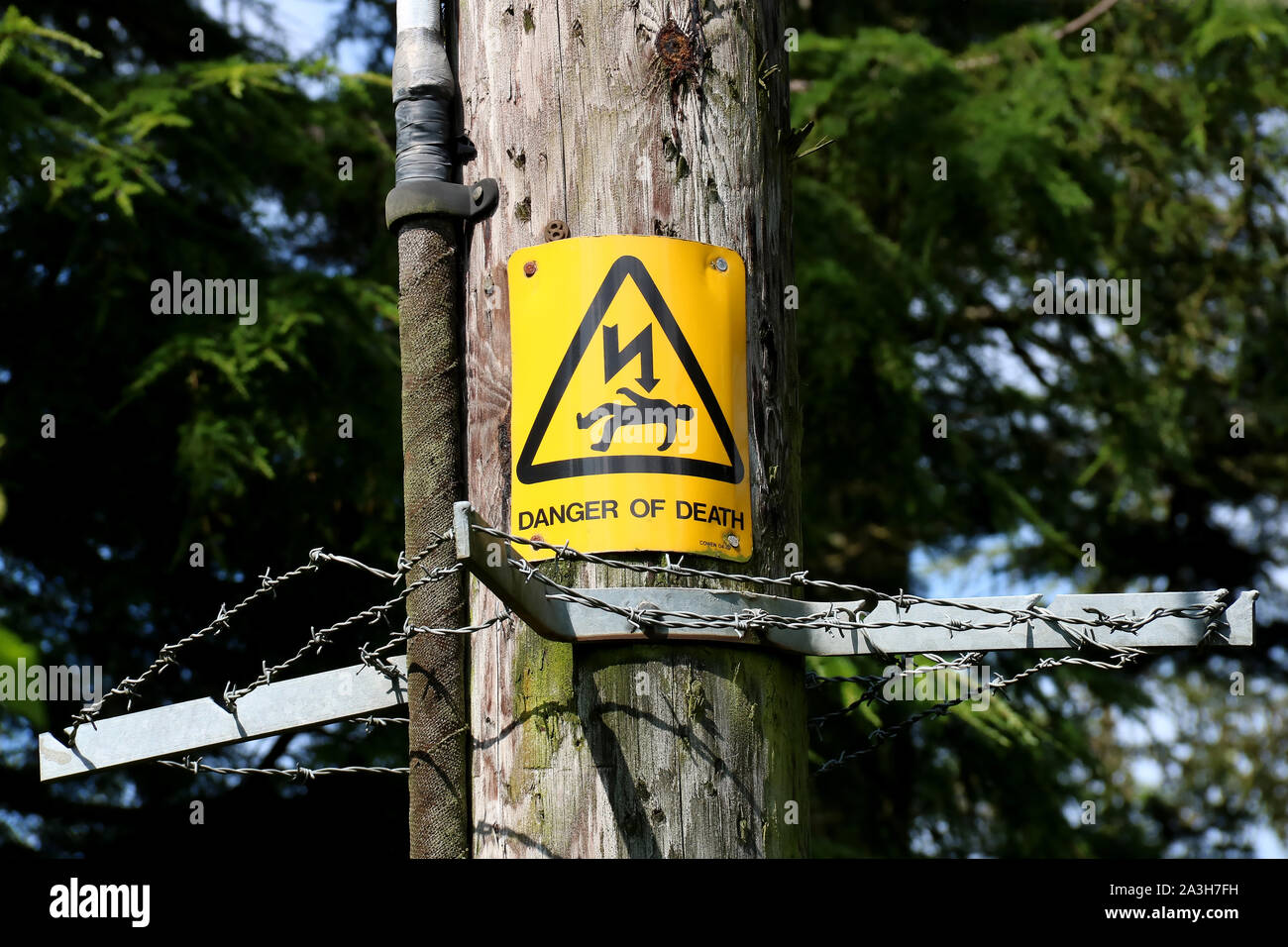 Danger of Death sign on a timber electricity pylon Stock Photo