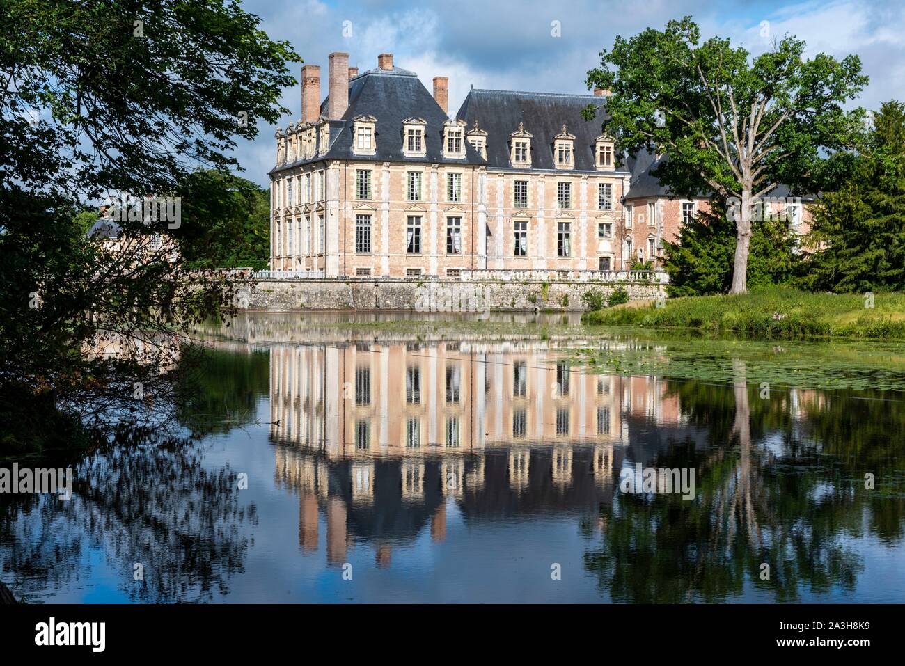France, Loiret, La Ferte Saint Aubin, La Ferte Castle, lake Stock Photo