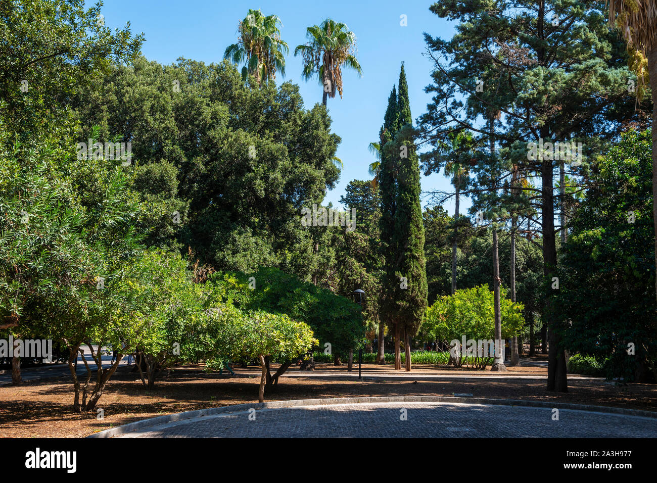 Villa Comunale public garden (Giardini Pubblici Giuseppe Garibaldi) in Lecce, Apulia (Puglia) in Southern Italy Stock Photo
