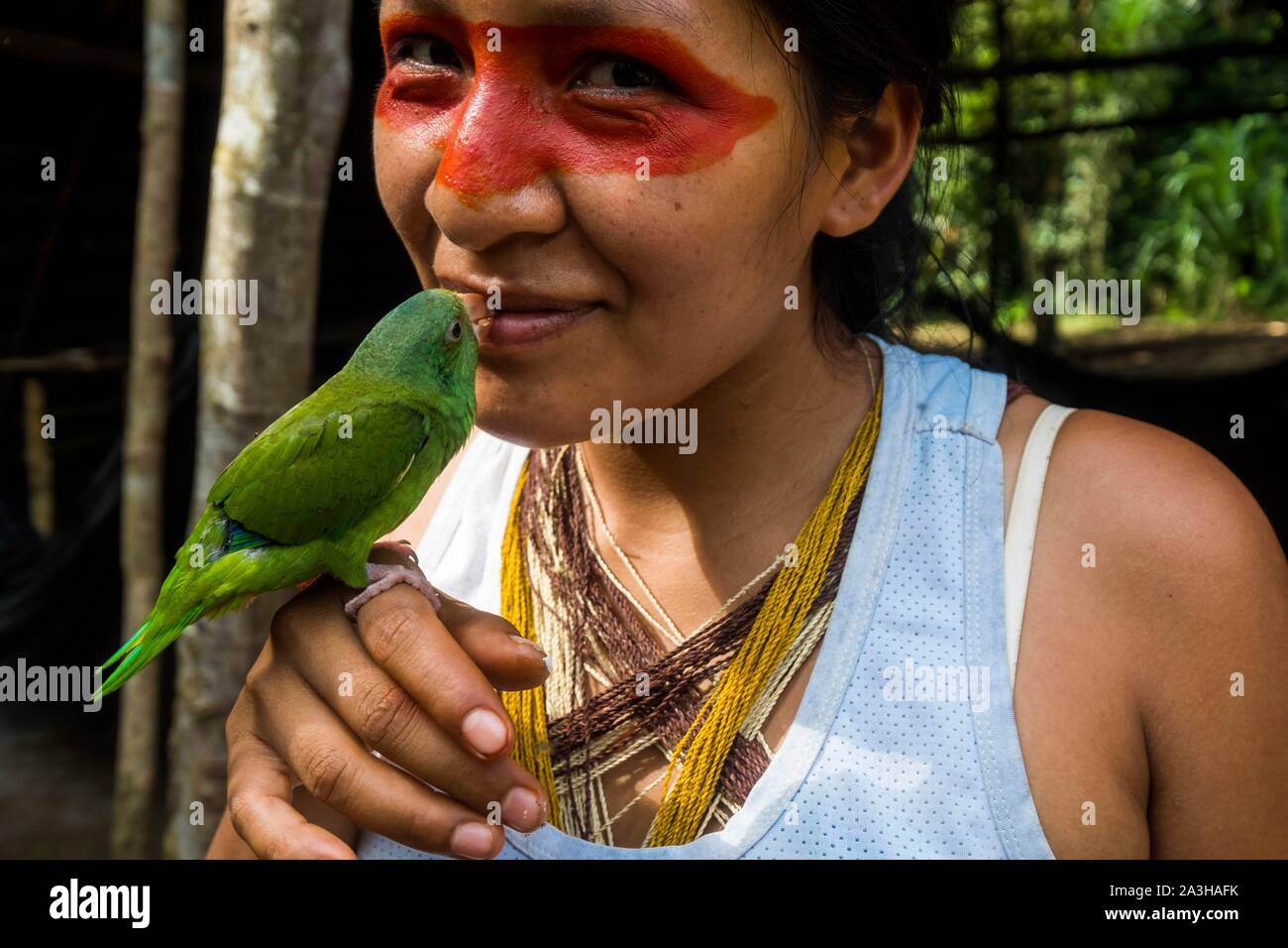 Ecuador, Tena, immersion life experience with the Waoranis of the Rio Nushino, young woman with her green parakeet or Amazona ochrocephala Stock Photo
