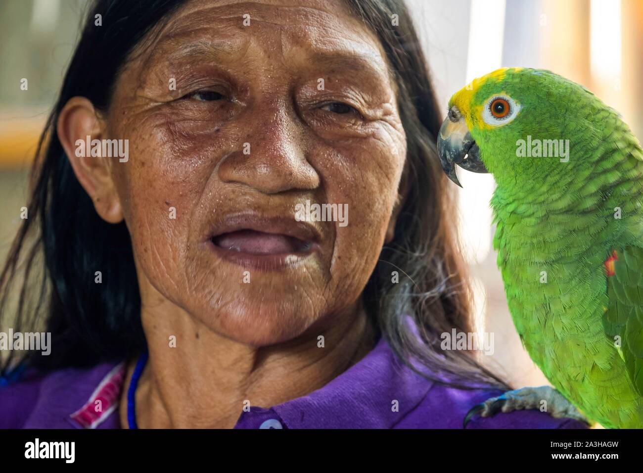 Ecuador, Tena, immersion life experience with the Waoranis of the Rio Nushino, Dayuno community, woman and her green parrot, or Amazona ochrocephala Stock Photo