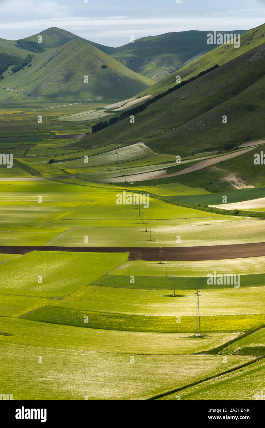 The colours and textures of the Piano Grande, Monti Sibillini National Park, Umbria, Italy Stock Photo