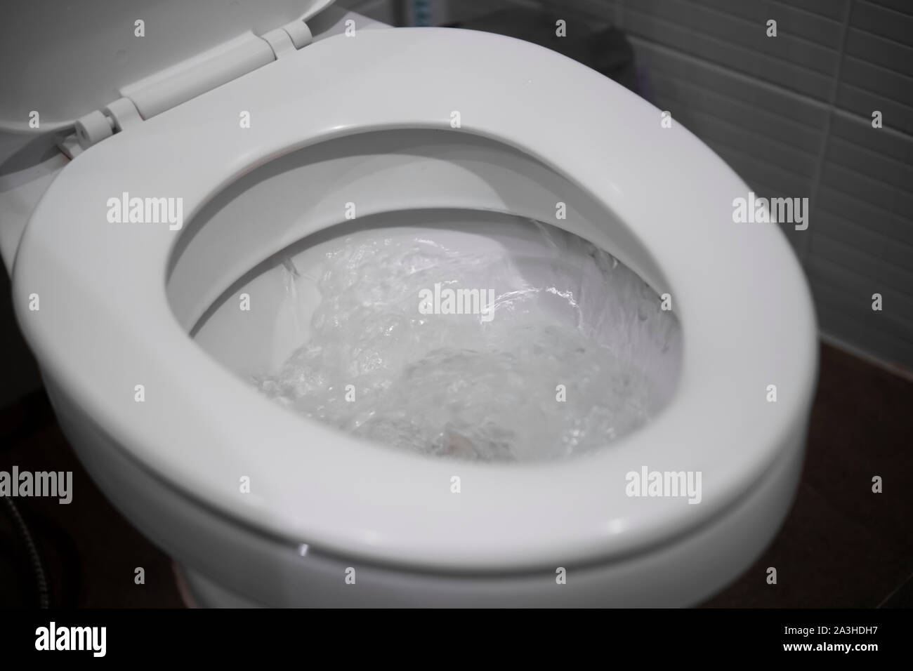 White hanging toilet seat on white toilet in the home bathroom with