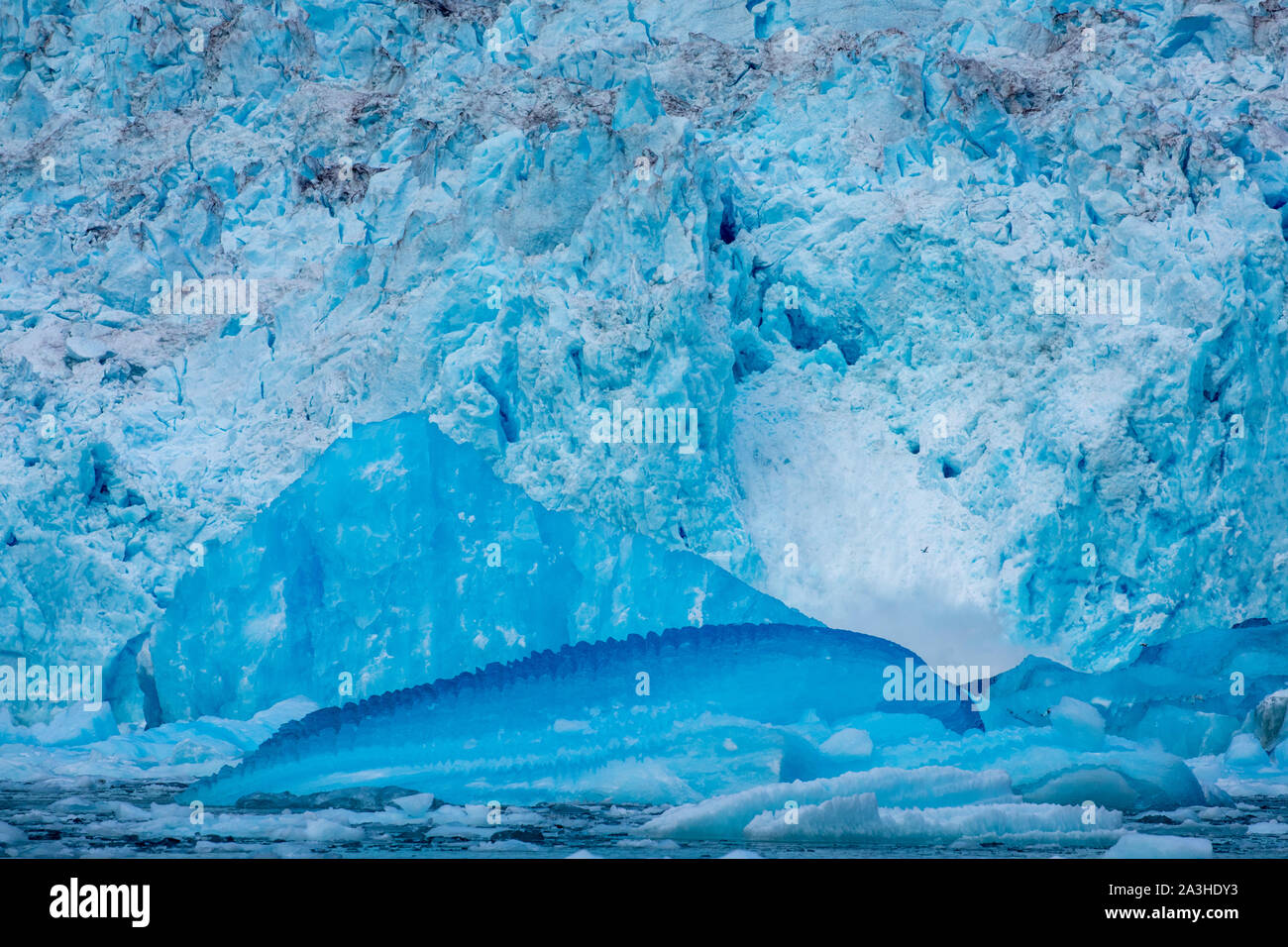 USA, Alaska, Massive blue underwater iceberg floating after calving from beneath ocean surface at face of LeConte Glacier east of Petersburg Stock Photo