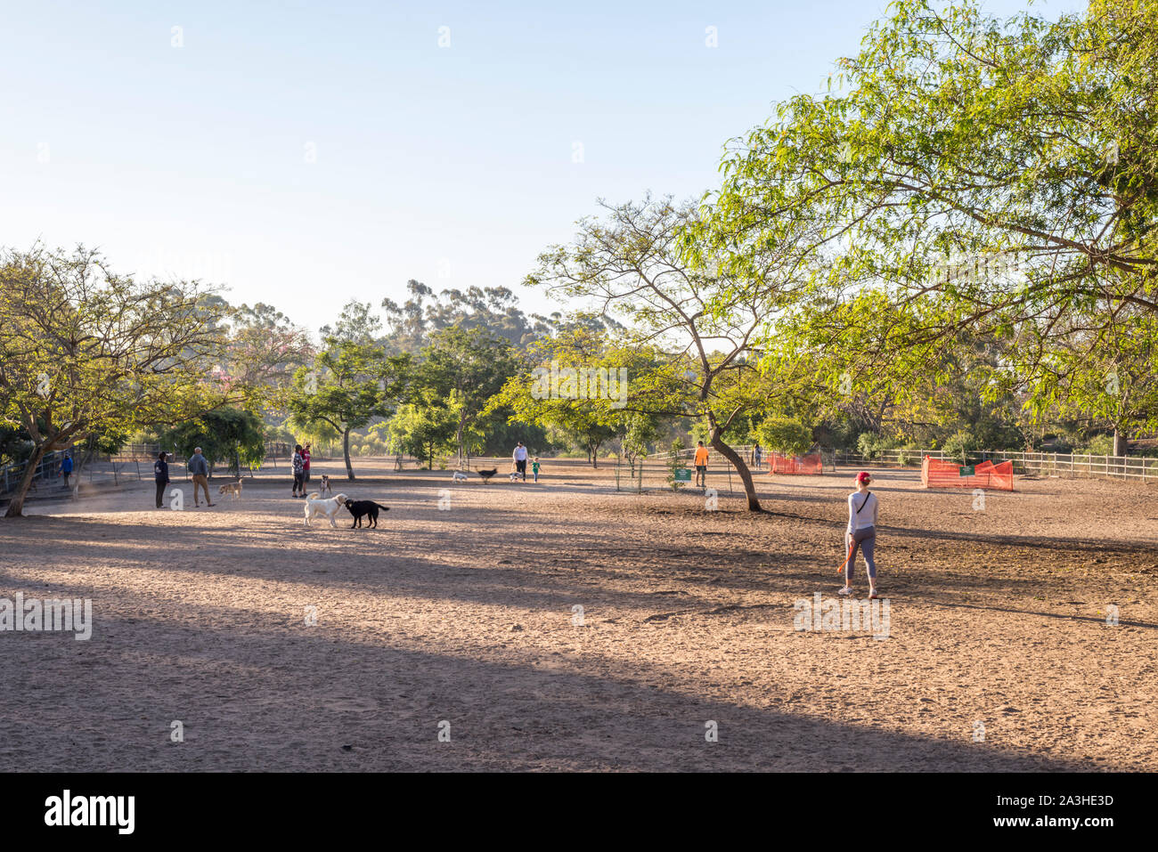 Are Dogs Allowed In Balboa Park San Diego