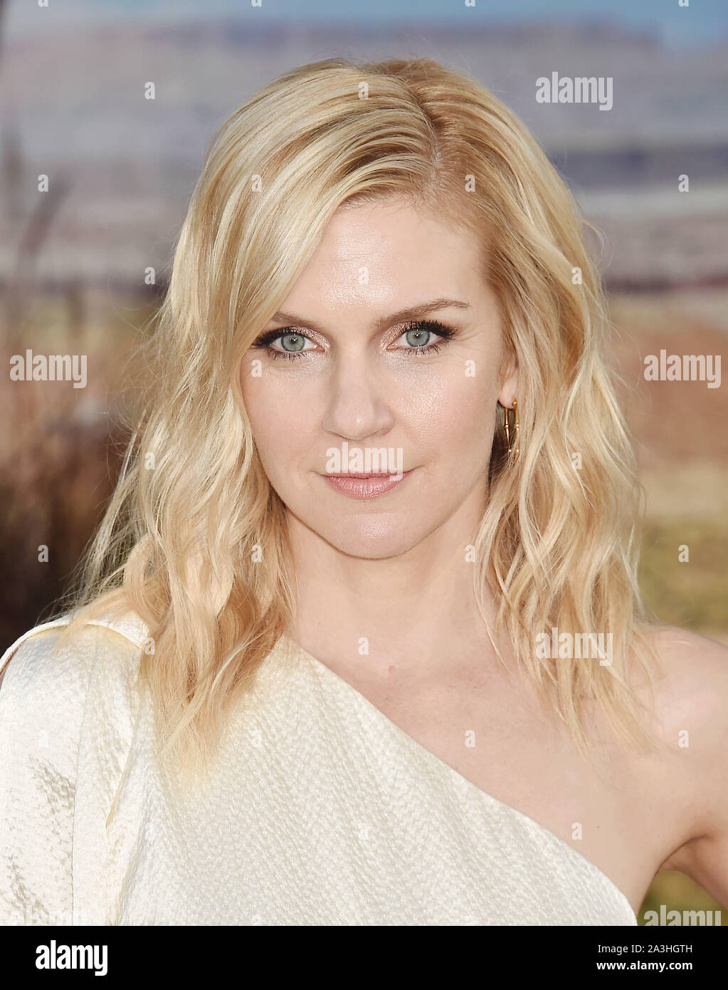 WESTWOOD, CA - OCTOBER 07: Rhea Seehorn attends the premiere of Netflix