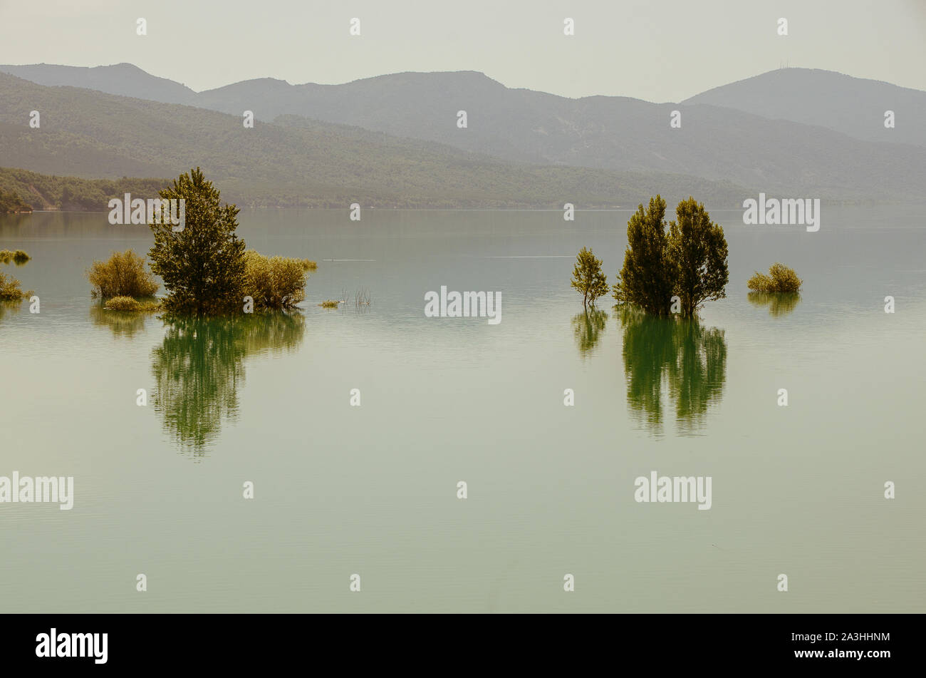 Autumnal landscape with trees submerged in the lake. Stock Photo