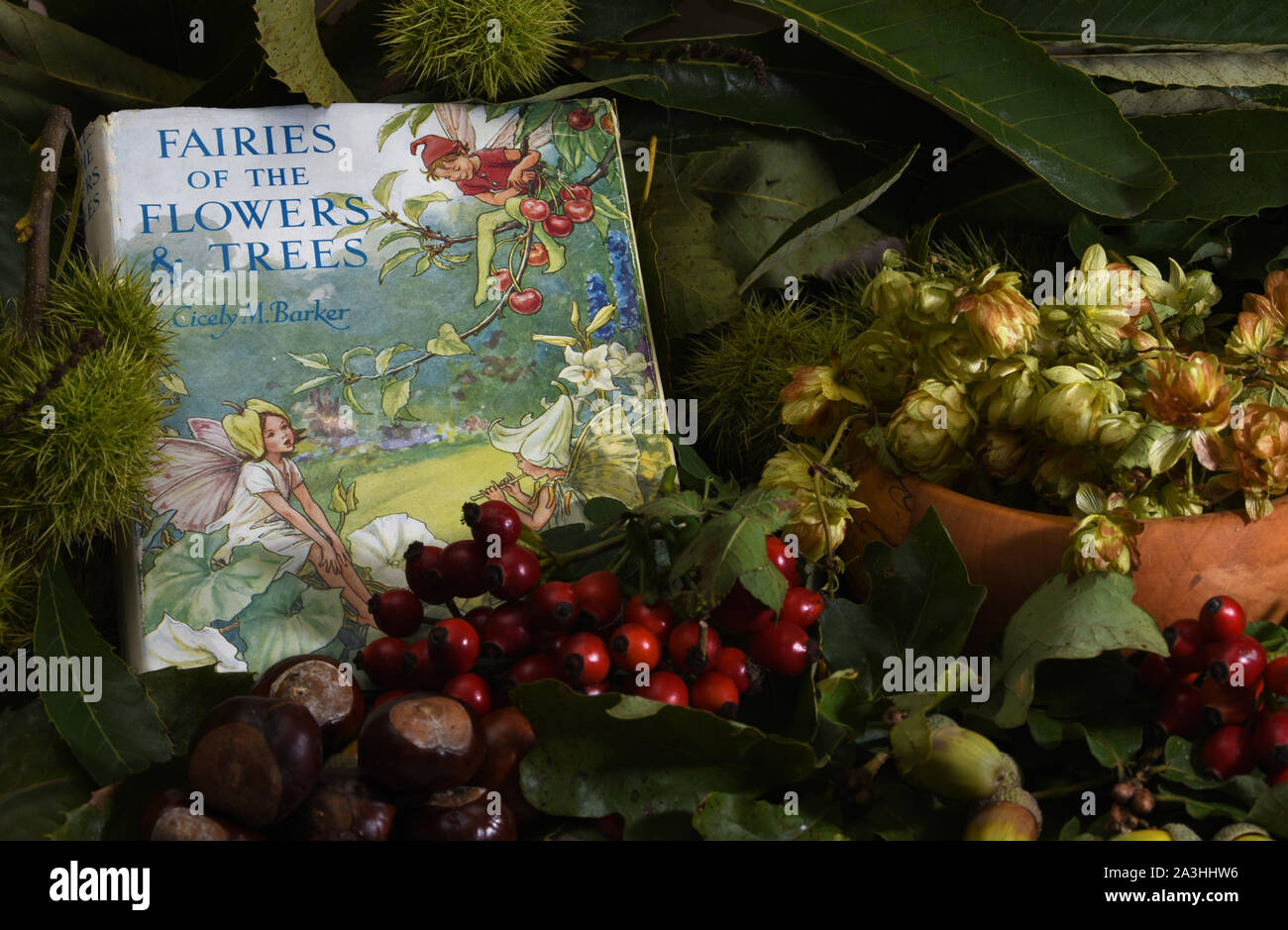 Autumn fruits and berries with illustrations by Cicely Mary Barker of the flower and tree fairies Stock Photo