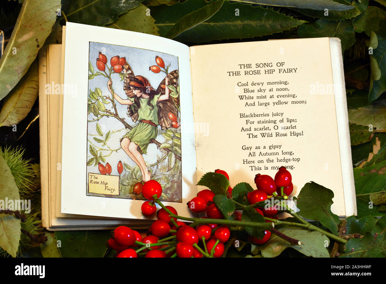 Autumn fruits and berries with illustrations by Cicely Mary Barker of the flower and tree fairies Stock Photo