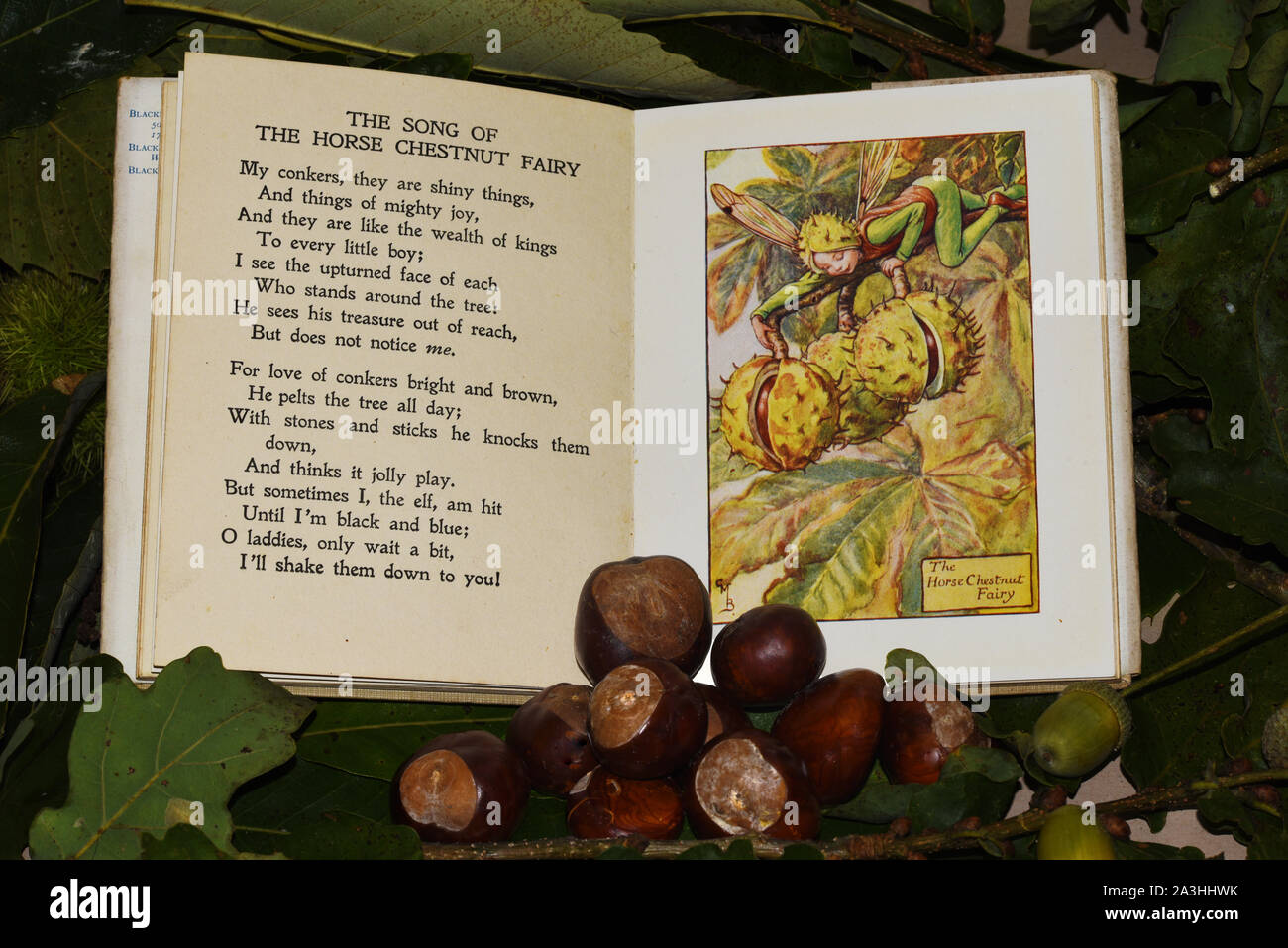 Autumn fruits and berries with illustrations by Cicely Mary Barker of the flower and tree fairies. Horse Chestnut (Aesculus hippocastanum) Stock Photo