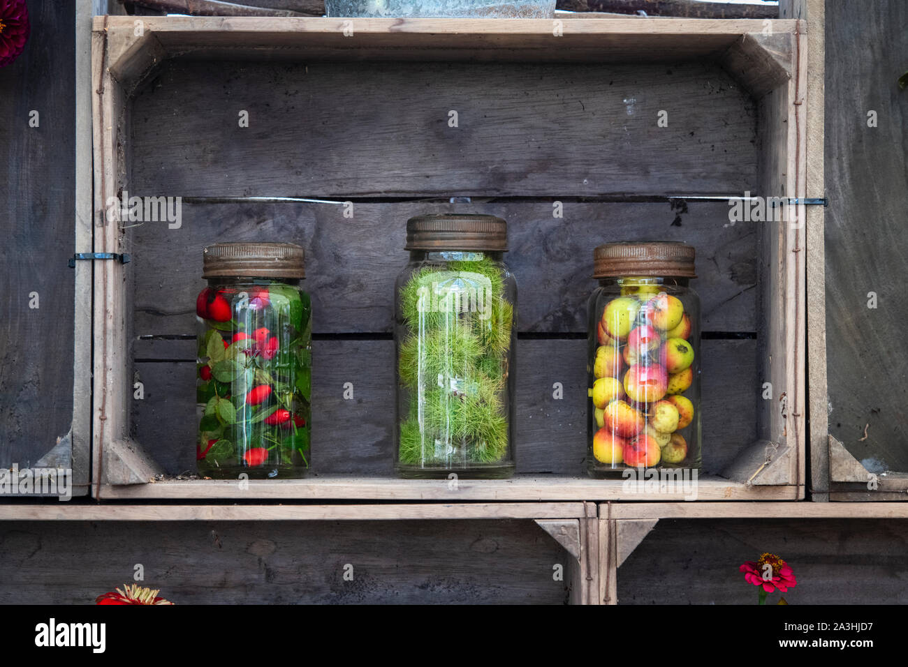 Old fashioned kilner gin jars infused with foraged fruits and nuts in a ...