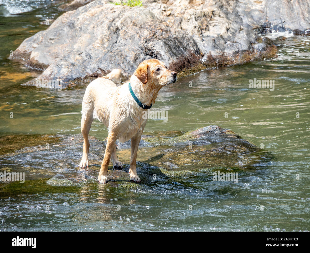 Hot water flowing down mountain hi-res stock photography and images - Alamy